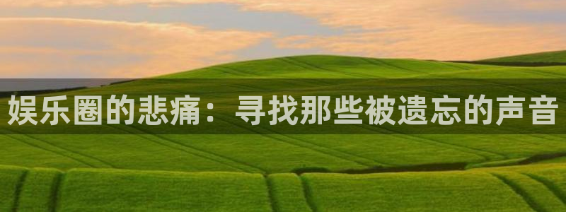 星空娱乐app：娱乐圈的悲痛：寻找那些被遗忘的声音