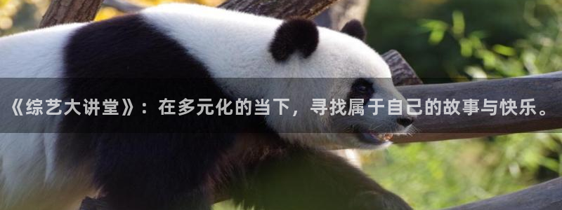 星空娱乐下载：《综艺大讲堂》：在多元化的当下，寻找属于自己的故事与快乐。