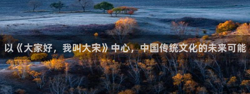 星空娱乐网站官网：以《大家好，我叫大宋》中心，中国传统文化的未来可能