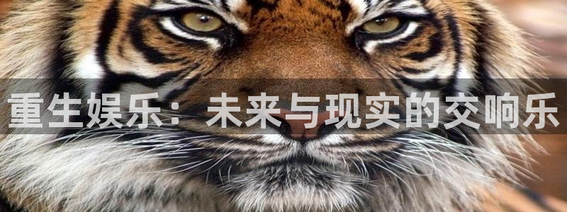 星空娱乐下载：重生娱乐：未来与现实的交响乐