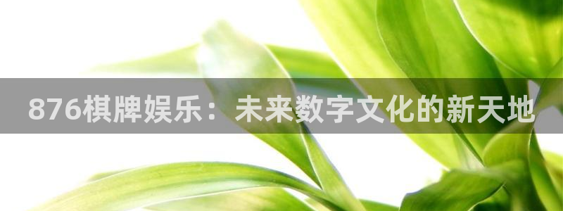 星空娱乐传媒：876棋牌娱乐：未来数字文化的新天地