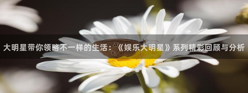 星空娱乐传媒：大明星带你领略不一样的生活：《娱乐大明星》系列精彩回顾与分析