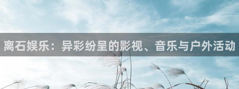 星空娱乐传媒有限公司：离石娱乐：异彩纷呈的影视、音乐与户外活动