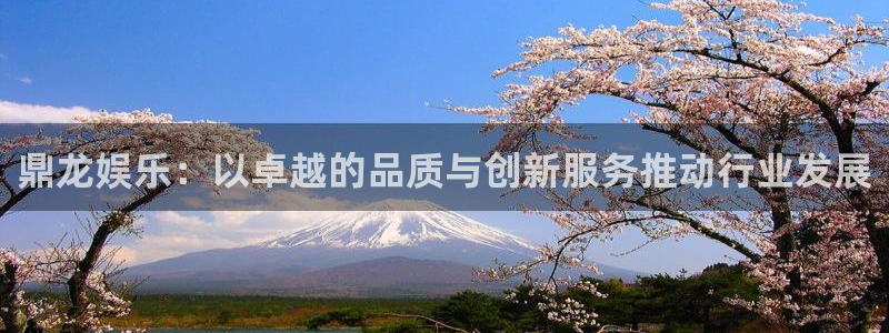 星空娱乐网站官网：鼎龙娱乐：以卓越的品质与创新服务推动行业发展