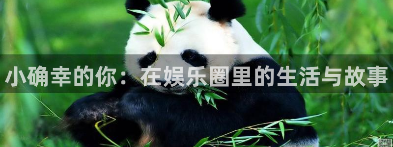星空娱乐app下载：小确幸的你：在娱乐圈里的生活与故事