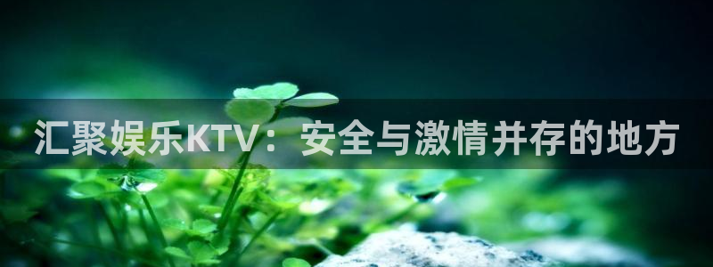 下载星空娱乐：汇聚娱乐KTV：安全与激情并存的地方