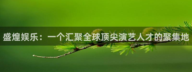93299星空娱乐最新网址：盛煌娱乐：一个汇聚全球顶尖演艺人才的聚集地