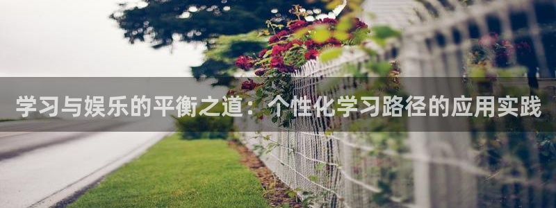 星空娱乐传媒有限公司：学习与娱乐的平衡之道：个性化学习路径的应用实践